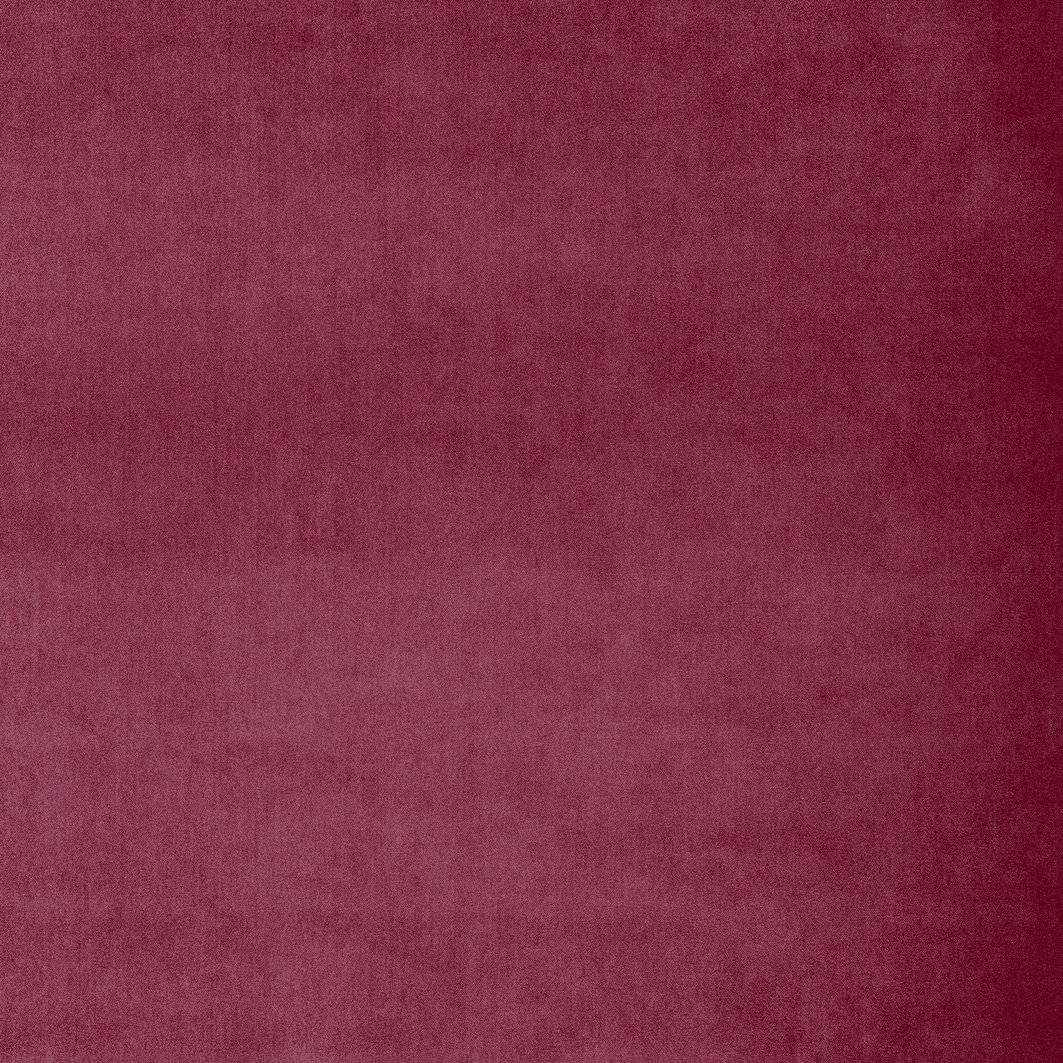 Fabric swatch of a pink plain velvet – suitable for use as a velvet upholstery fabric or velvet curtains