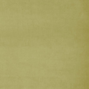 Fabric swatch of a green plain velvet – suitable for use as a velvet upholstery fabric or velvet curtains