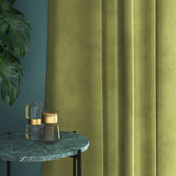 Velvet curtain in green
