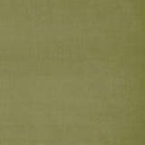 Fabric swatch of a green plain velvet – suitable for use as a velvet upholstery fabric or velvet curtains