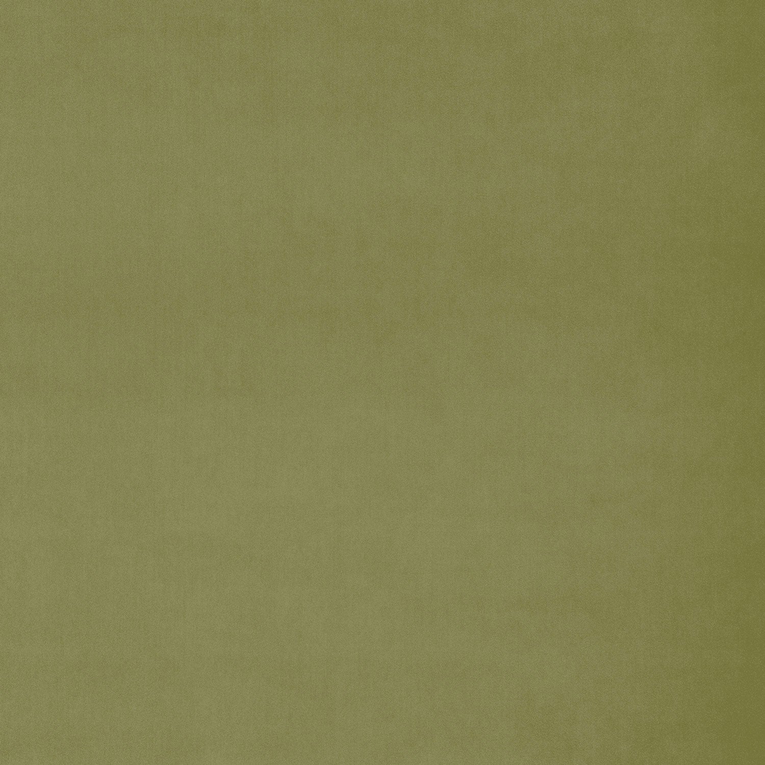 Fabric swatch of a green plain velvet – suitable for use as a velvet upholstery fabric or velvet curtains