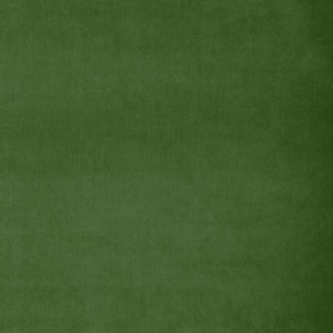 Fabric swatch of a green plain velvet – suitable for use as a velvet upholstery fabric or velvet curtains