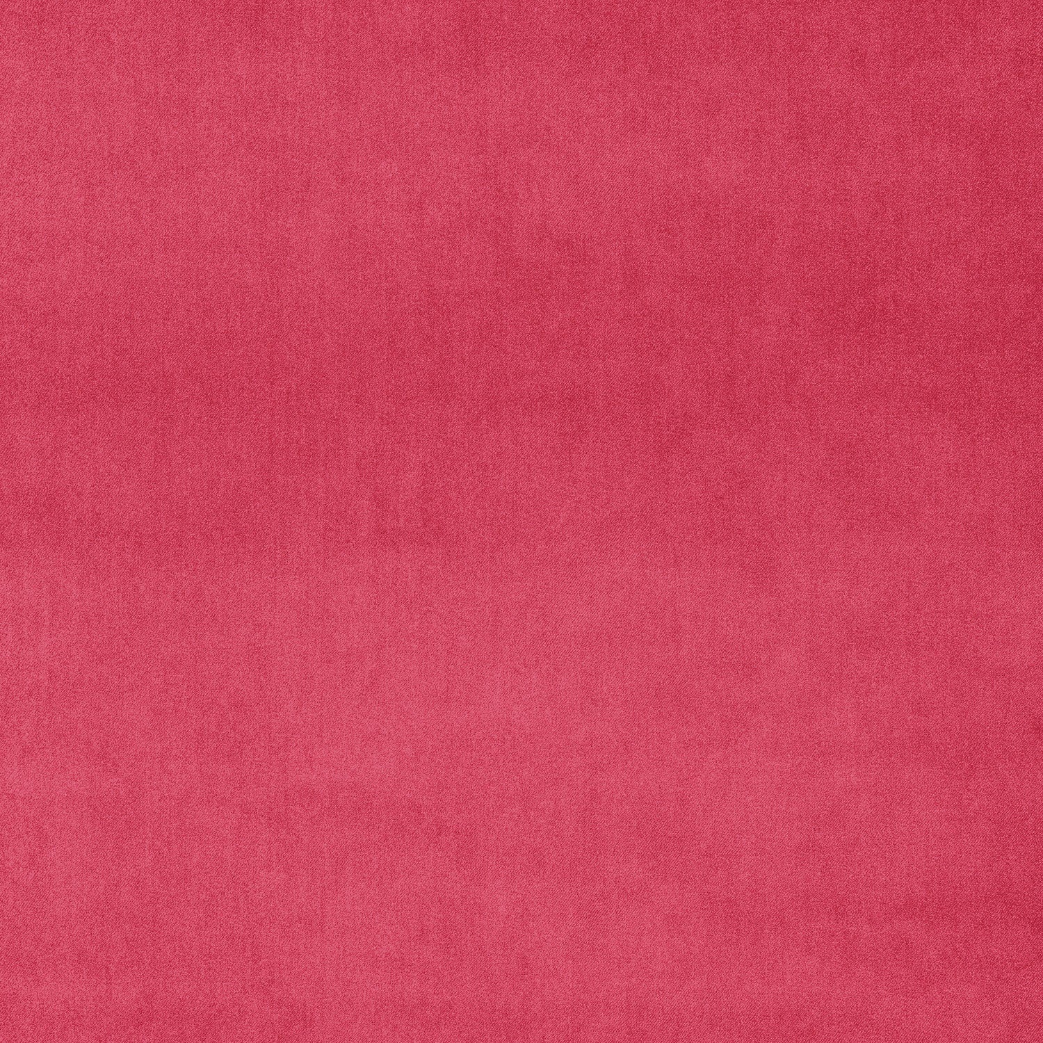 Fabric swatch of a pink plain velvet – suitable for use as a velvet upholstery fabric or velvet curtains