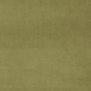 Fabric swatch of a green plain velvet – suitable for use as a velvet upholstery fabric or velvet curtains