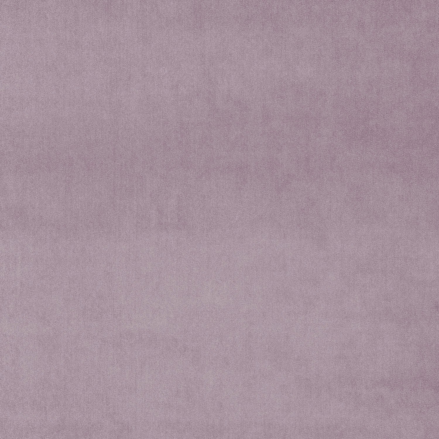 Fabric swatch of a purple plain velvet – suitable for use as a velvet upholstery fabric or velvet curtains