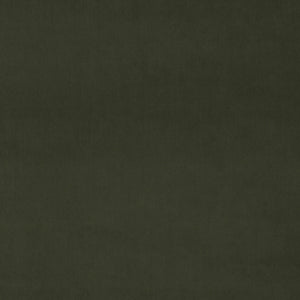 Fabric swatch of a green eco plain velvet – suitable for use as a velvet upholstery fabric or velvet curtains