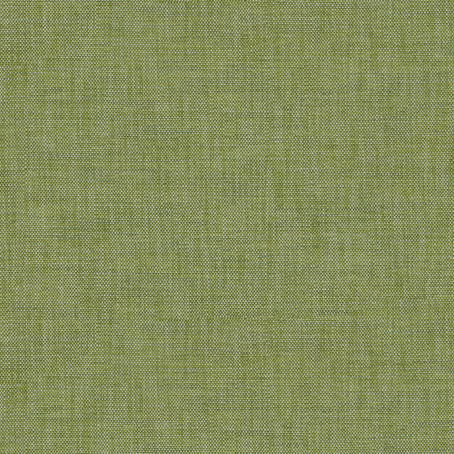 Sample of a chenille woven fabric in green.