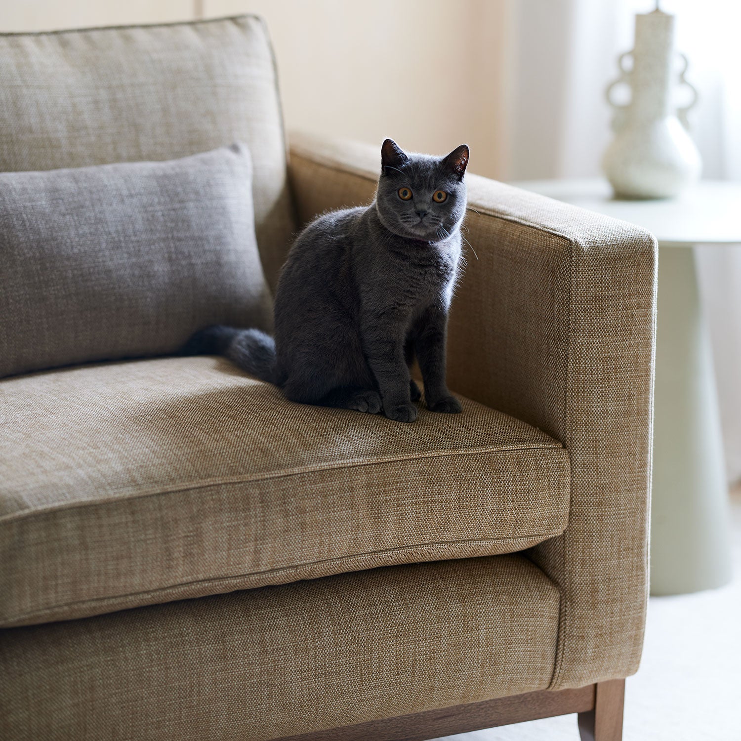 Brown chair upholstered in a chenille woven fabric with a cat on it.